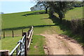 Beacons Way on footpath by hedge