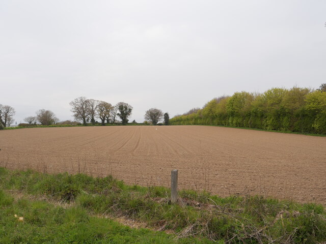 Cultivated Field