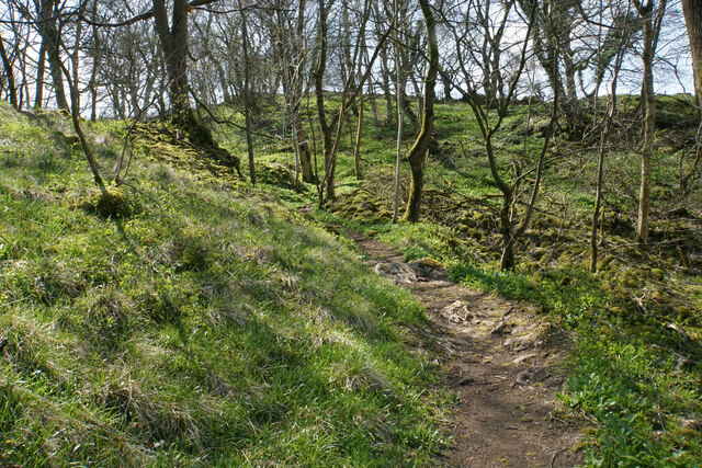 Path in Jughole Wood