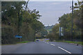 Whippingham : Whippingham Road A3021