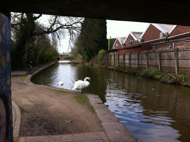 Coventry Canal, looking south from under the Old Church Road bridge, Foleshill
