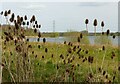 Former gravel pit near Hoveringham