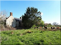 SU0788 : Derelict farmnouse, Parkgate Farm by Vieve Forward