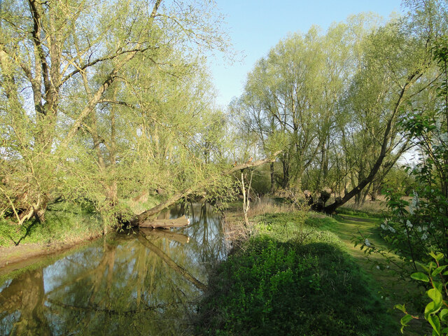 River Waveney in reflective mood © Adrian S Pye :: Geograph Britain and ...