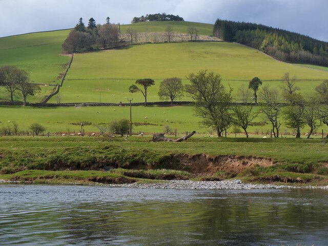 The Tweed and Chester Hill