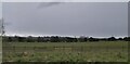 NZ2533 : Fields outside Spennymoor by Anthony Parkes