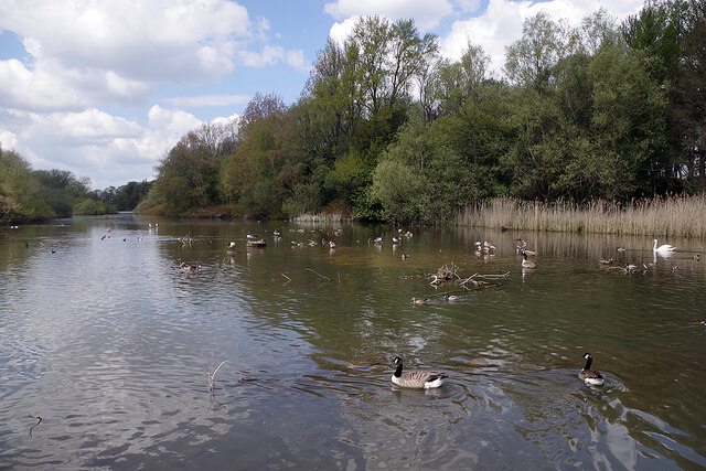 Coombe Pool © Stephen McKay cc-by-sa/2.0 :: Geograph Britain and Ireland