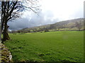 Grazing, Bishopdale 