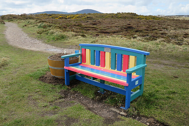 Colourful Bench