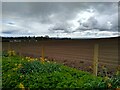 Furrowed field above Dykehead