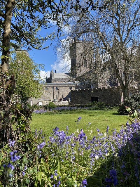 Cathedral and bluebells