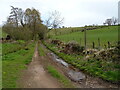 Farm track (footpath) near Beck Farm