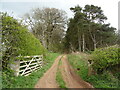 Track beside Lodge Wood