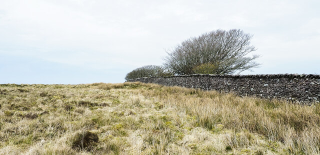 Moorland alongside wall