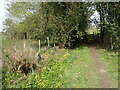 Footpath on the edge of Old Park Wood