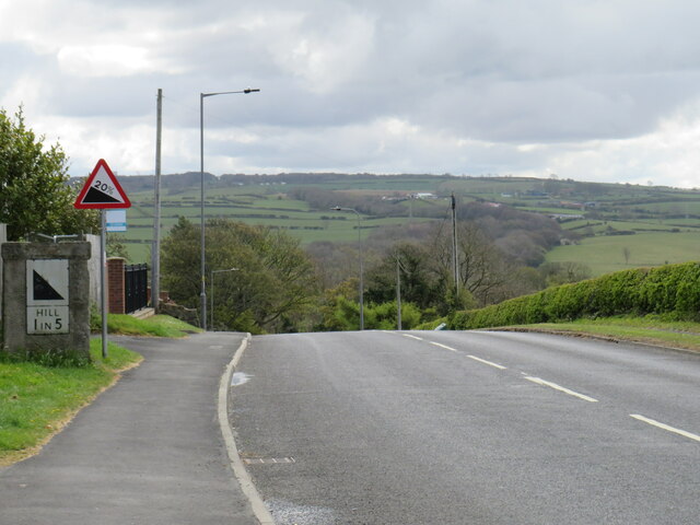 Ruswarp Lane, near Whitby