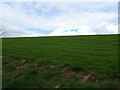 NY6133 : Field near Skirwith  by JThomas