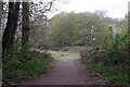 Path through the woods - Coombe Abbey