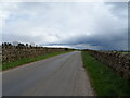 NY6527 : National Cycle Route 68 south of Gullom Holme by JThomas