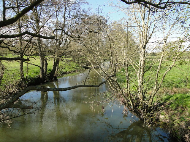 Upstream from the Needham footbridge