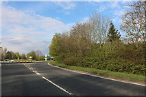 TL5587 : Roundabout on the A10, Littleport by David Howard