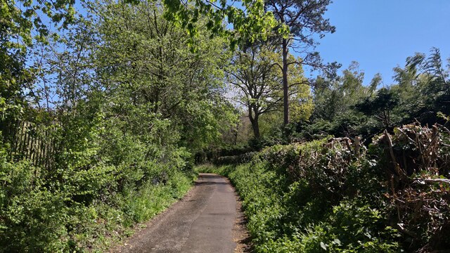 Widmore - Broad Lane