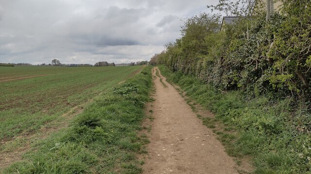 Restricted Byway heading to Three Corner Clump