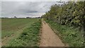 Restricted Byway heading to Three Corner Clump