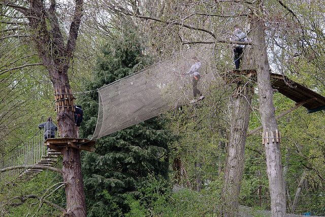 Go Ape treetop course, Coombe Abbey