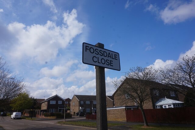 Fossdale Close off Howdale Road, Hull