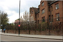 TL4458 : Student flats on Silver Street, Cambridge by David Howard