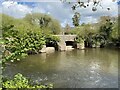 Bridge with sluice gates