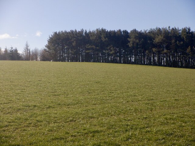 Field near Rosewell