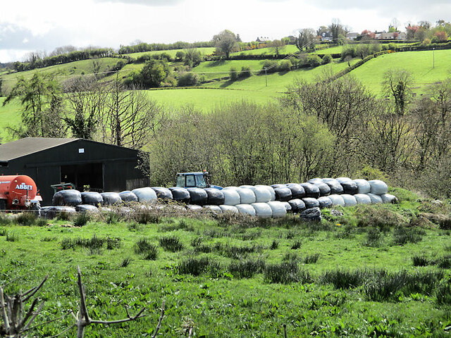 Bales and Buildings