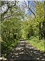 Track to Bont Farm