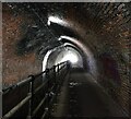 Edgbaston Tunnel on the Worcester and Birmingham Canal