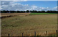 Fields, Maisondieu