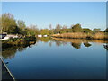 TM4190 : River Waveney in reflective mood by Adrian S Pye