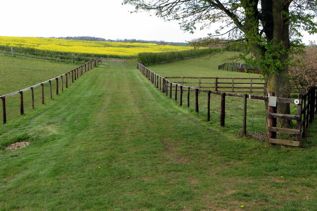 Bridleway to Holdenby