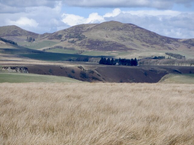 Harlaw Muir and Scald Law