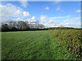 Grass field near Six Hills