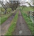 Track leading to Knowton Farm