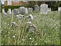 Gravestones at Parish Church of St Peter