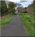 Woodland path: Stane