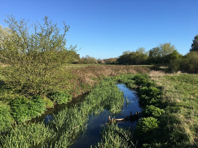 River Blackwater - Hawley Meadows