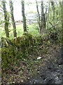 Old wall by path near Woodgate, Culmstock Beacon