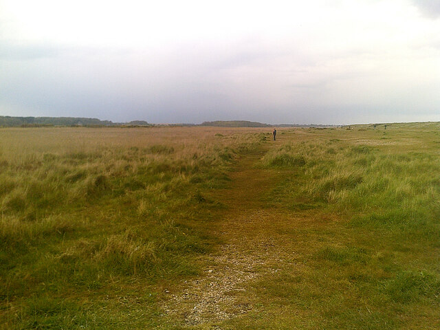 Dingle Marshes, Dunwich