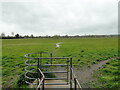 TM3390 : Grazing marshes on Outney Common by Adrian S Pye