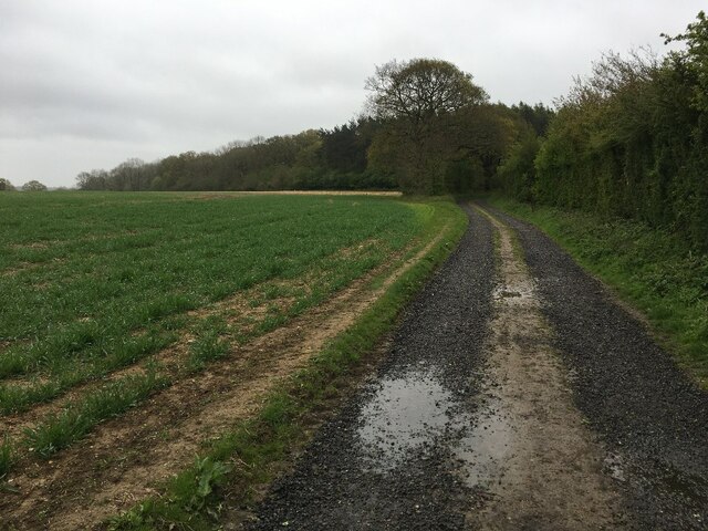 Farm track by Danny Field (26 acres)