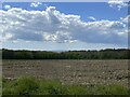 Large field near Ridge Farm